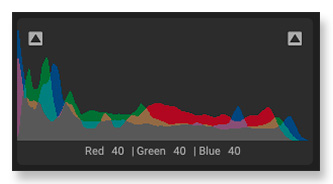 The Histogram of ON1 Photo Raw