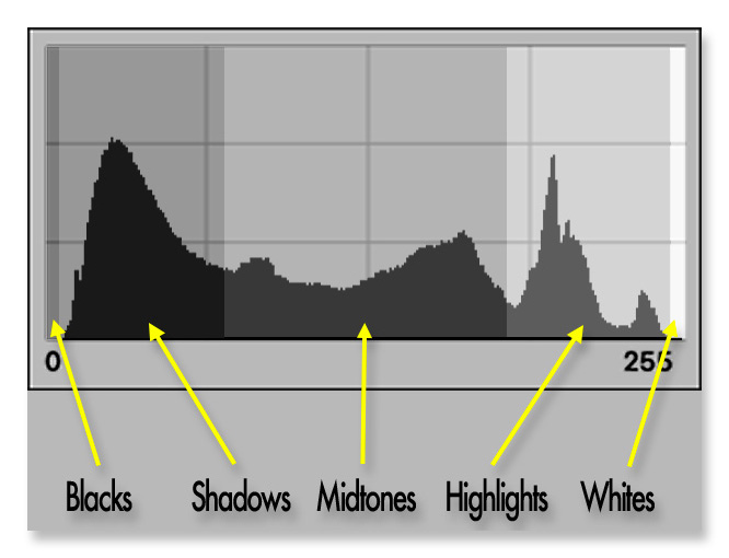 The Gray Tone Parts of an Image as We See Them on the Histogram